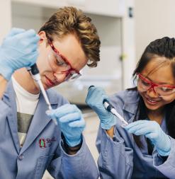Two participants work with pipettes